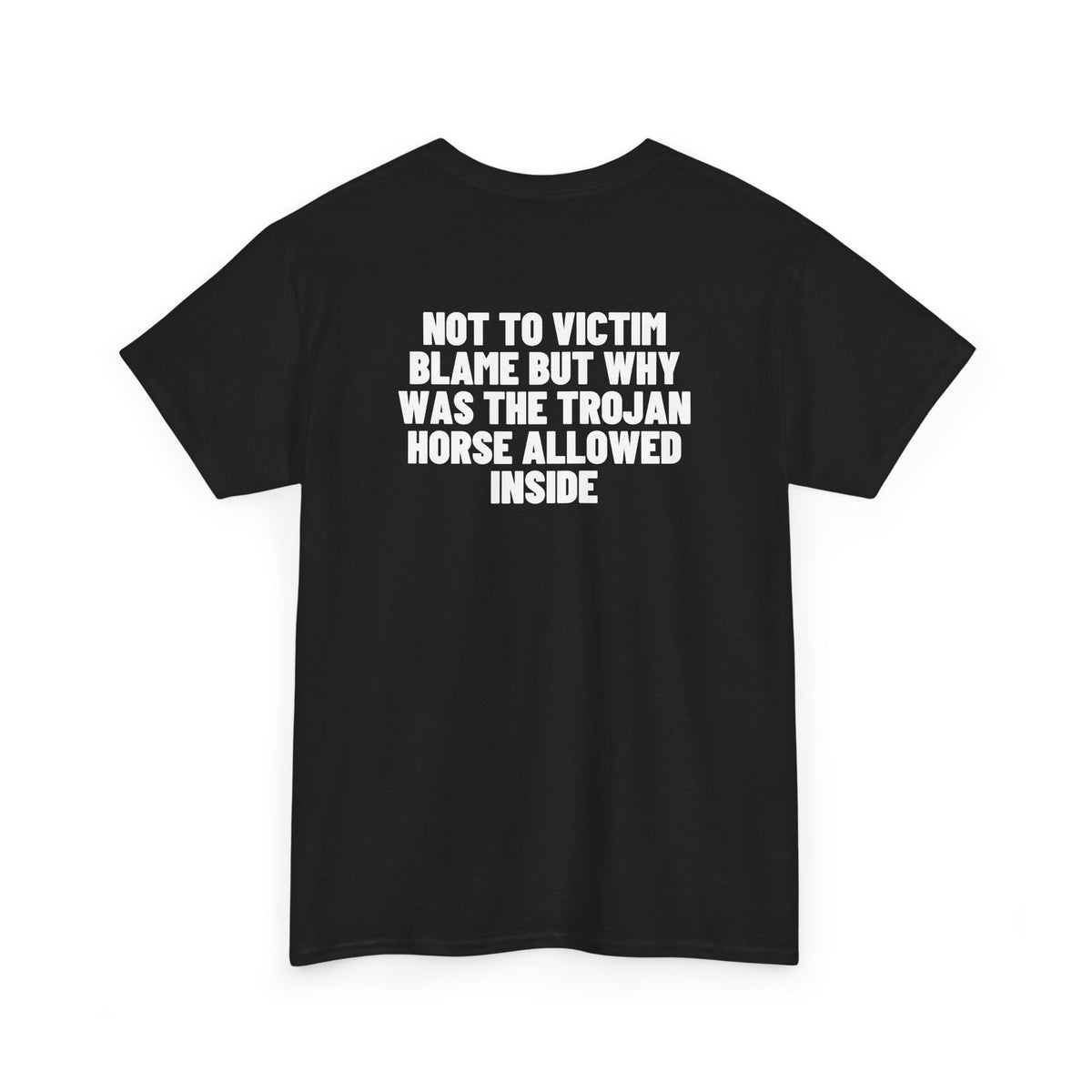 Not To Victim Blame But Why Was The Trojan Horse Allowed Inside? Backprint.