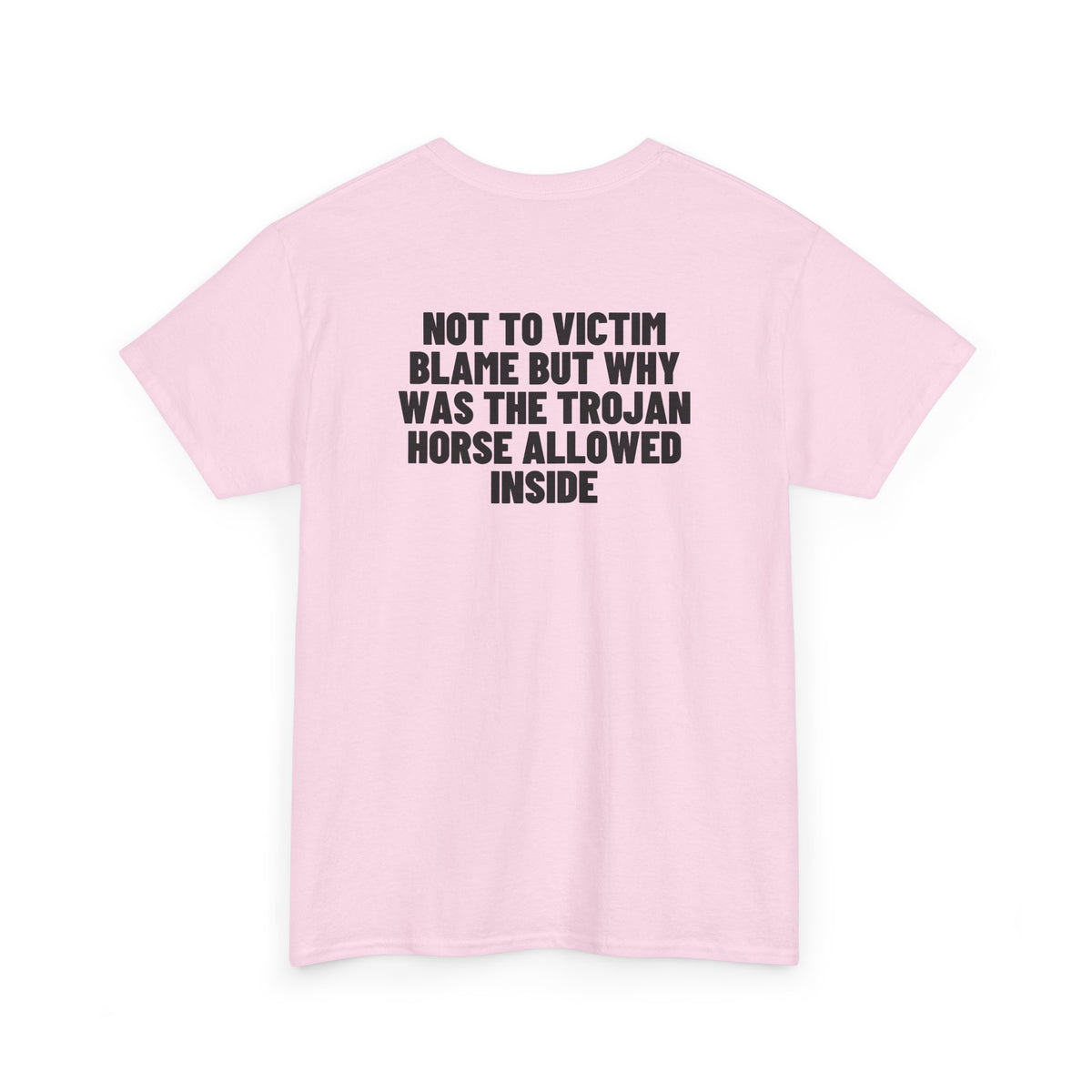 Not To Victim Blame But Why Was The Trojan Horse Allowed Inside? Backprint.