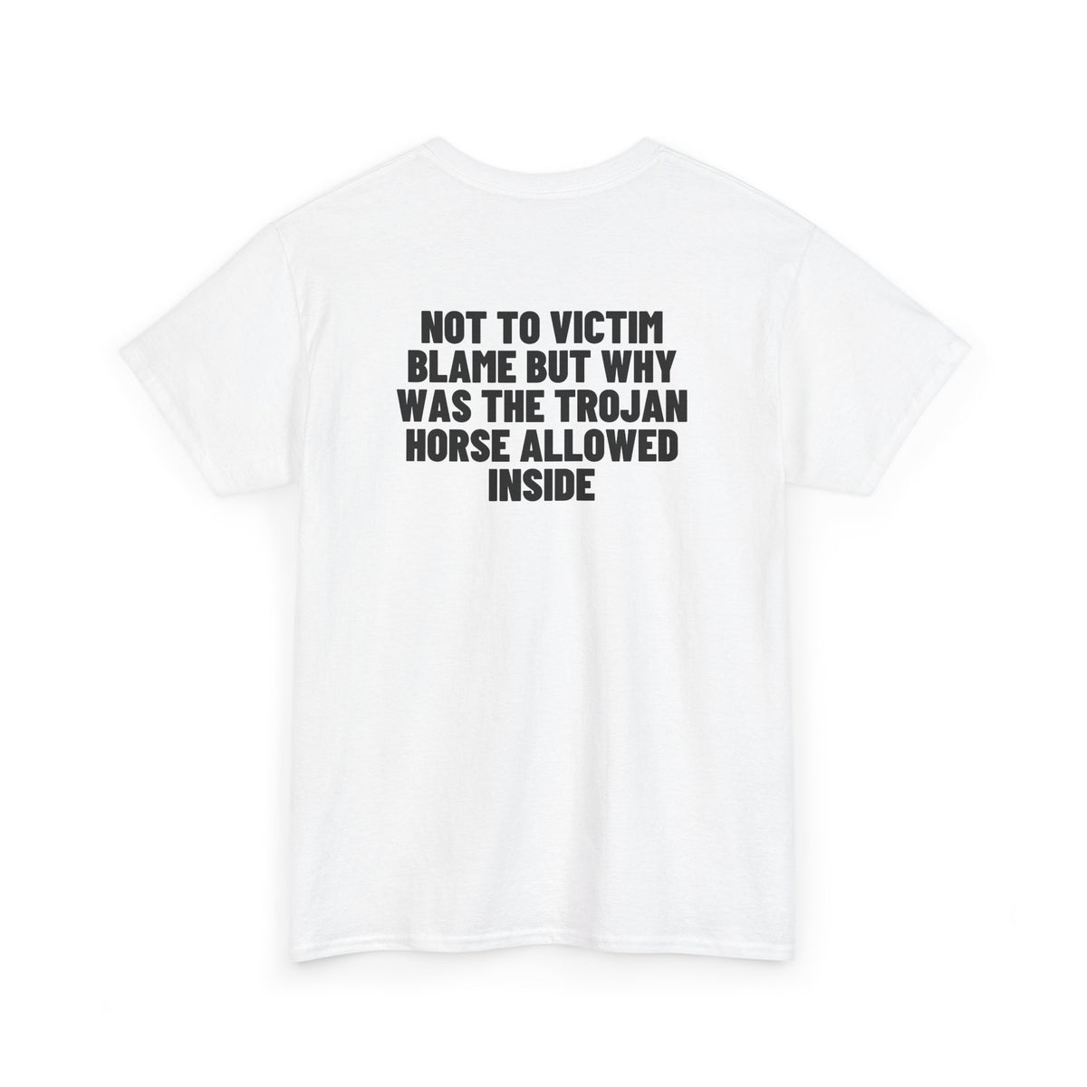 Not To Victim Blame But Why Was The Trojan Horse Allowed Inside? Backprint.