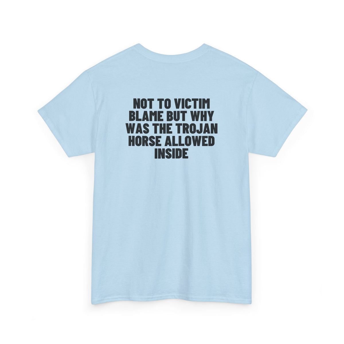 Not To Victim Blame But Why Was The Trojan Horse Allowed Inside? Backprint.